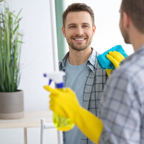 Cleaner